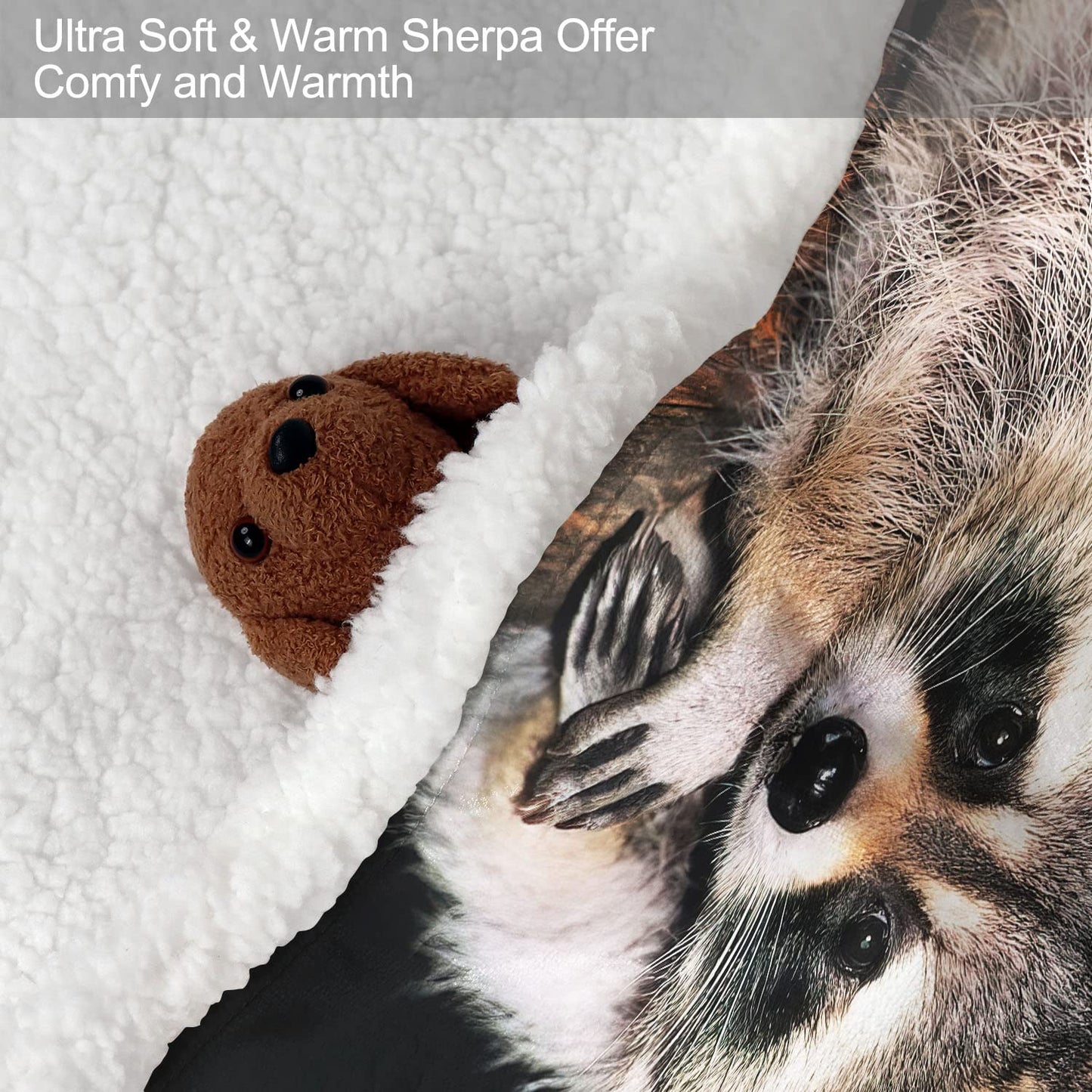 XSMEI Raccoon Sherpa Blanket, Animal Print Fleece Throw Blankets for Couch Sofa Bed, Super Soft Warm and Lightweight, 50" x 60"