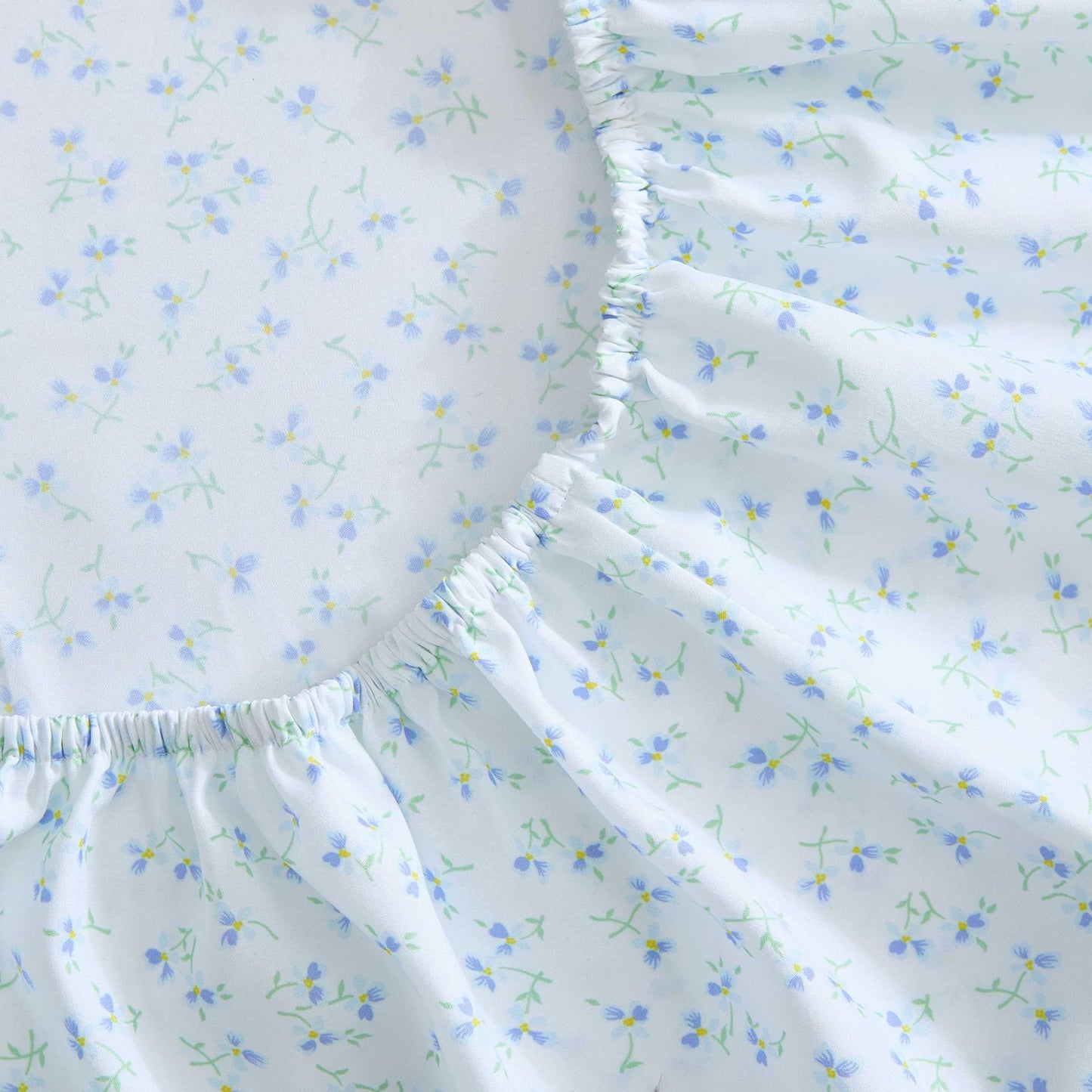 Betsey Johnson - Queen Size Sheet Set, Ultra-Soft Bedding with Smooth Feel, Deep Pockets, Bed Sheets with Matching Fitted Sheet & Pillowcases (Ballet Floral Blue)
