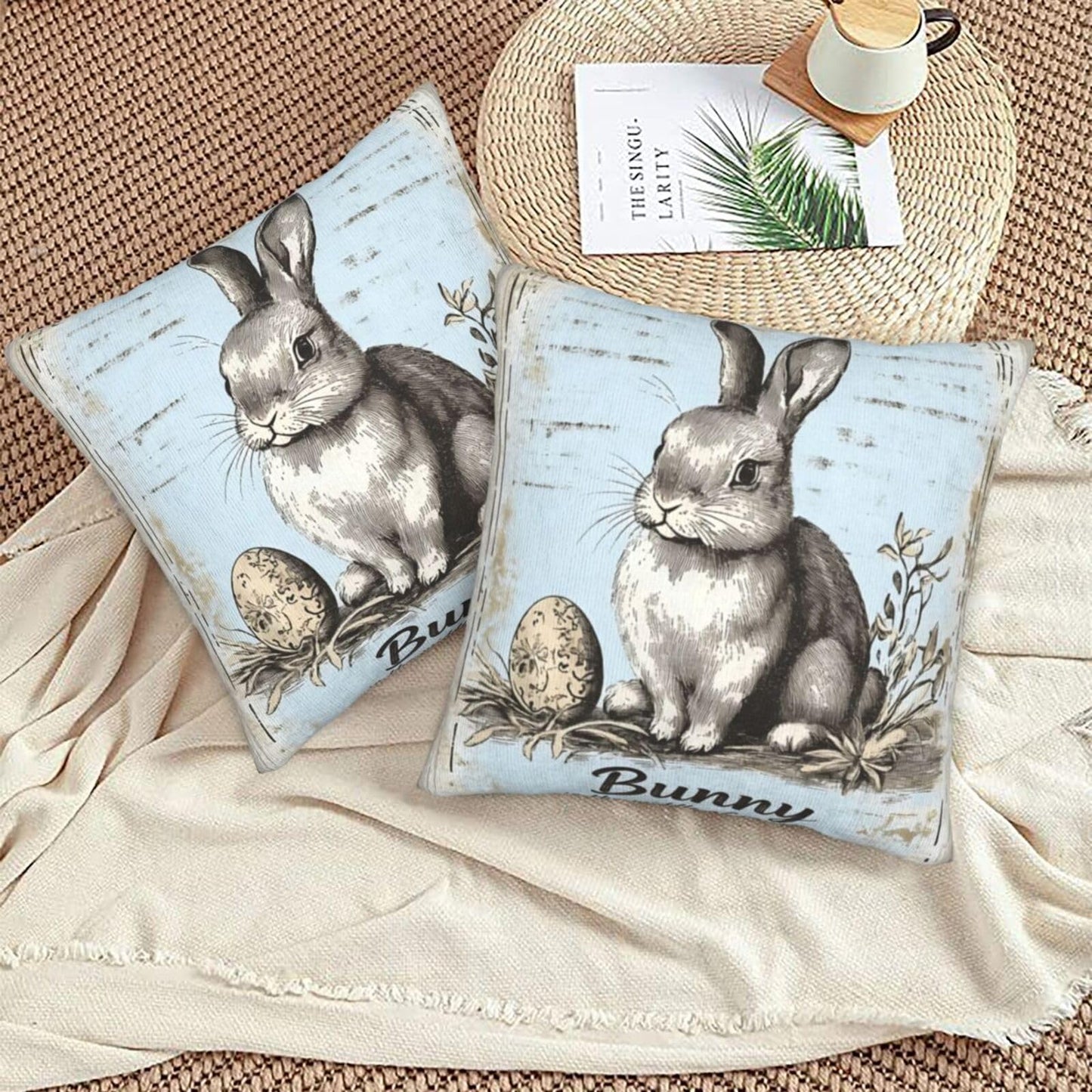 Droerfes Bunny Egg Throw Pillow Covers Set of 2 Couch Pillow Case Decoration Cushion Covers for Sofa Home Living Room Bedroom Outdoor 18X18 Inch