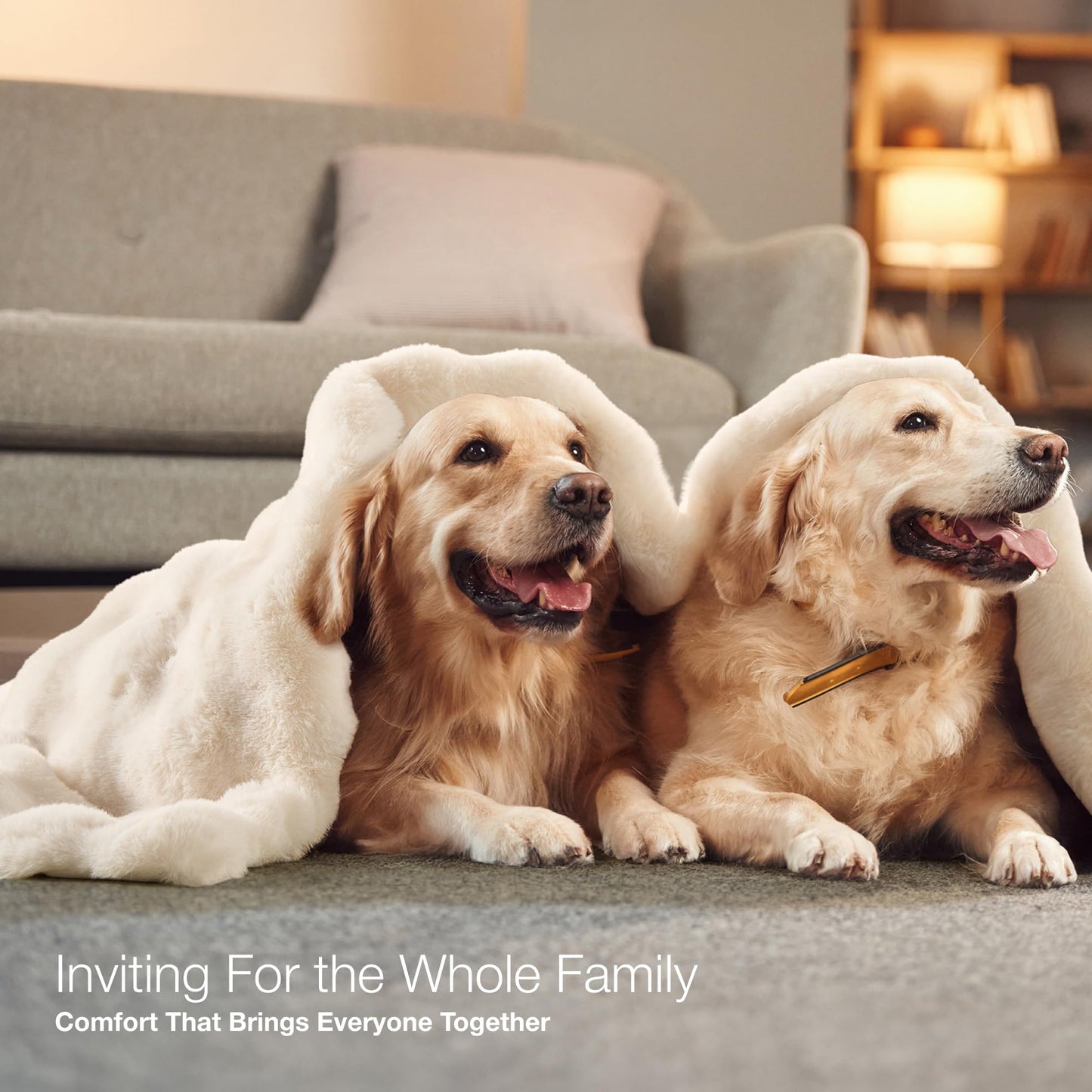 Luxury Ultra Soft Faux Fur Throw Blanket, 50x60 Inches Fluffy Plush Thick Bubble Blanket for Couch and Sofa, Premium Velvet Cozy Lola Fuzzy, 1000 GSM (Cream White)