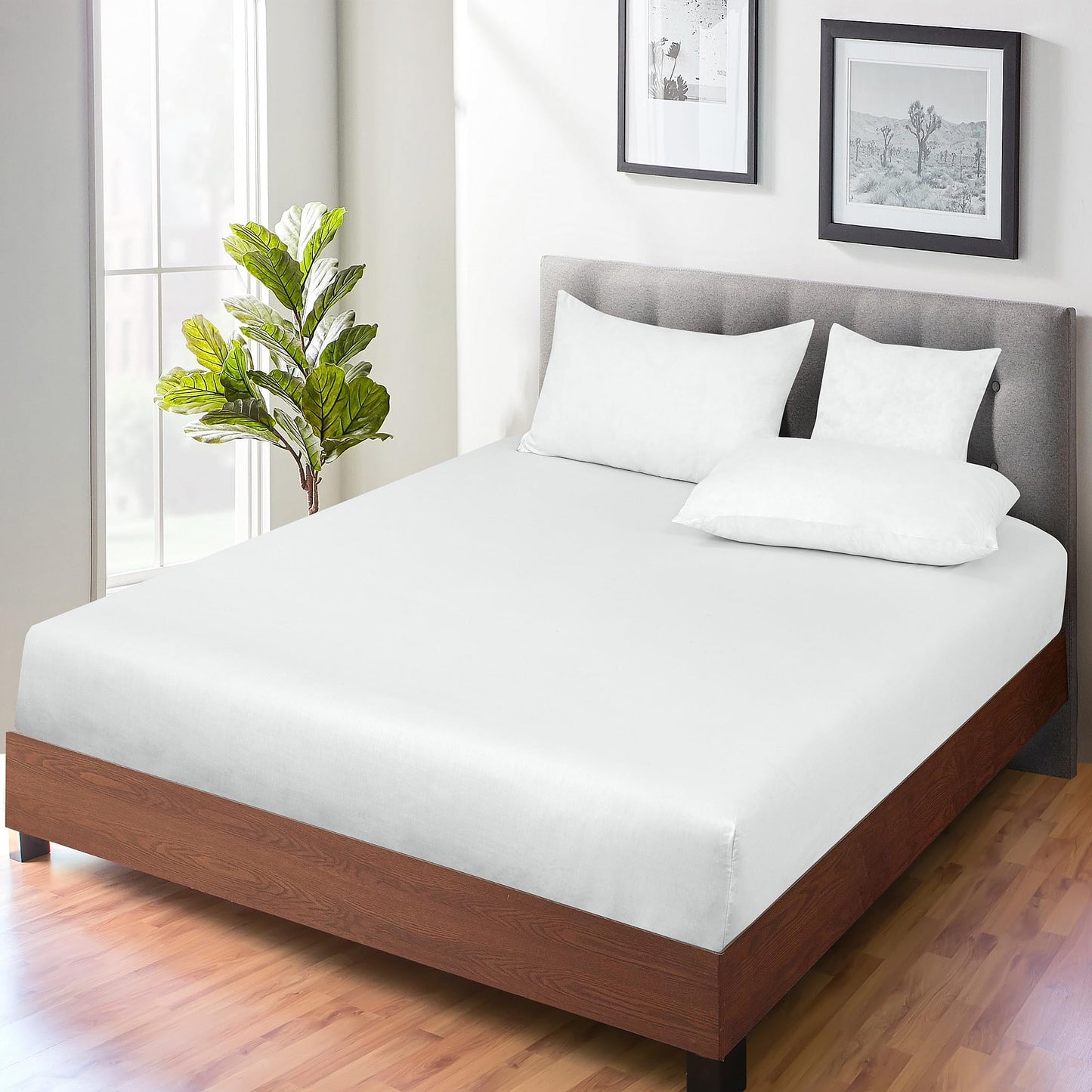 ROYALE LINENS 300 Thread Count 100% Long Staple Combed Cotton Fitted Sheet Queen - Super Soft Deep Pocket Bottom Sheet - Fitted Sheets Only - Elastic Sheets (Queen, White)