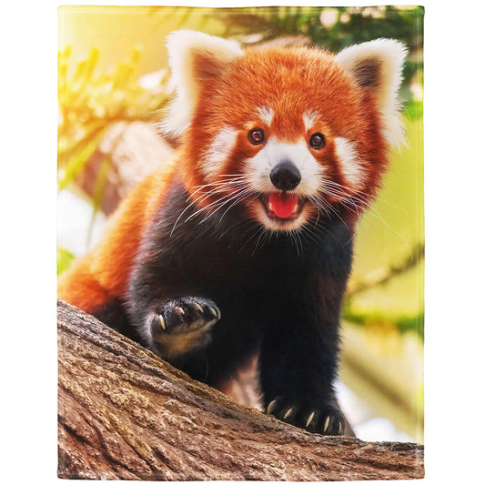 Rstick Red Panda Blanket Cute Little Panda Fleece Blanket Soft Fuzzy Plush Throw Blankets for Couch Bed 50"x60"