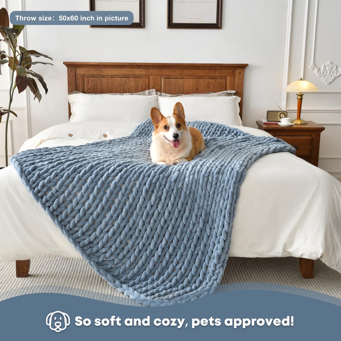 Feabuccy Soft Chunky Knit Blanket, 40X50 Inch Handmade Thick Chenille Yarn Throw Without Shedding & Raveling, Aesthetic & Cozy Home Decor with Couch Sofa Bed, Gift Pack, Airy Blue