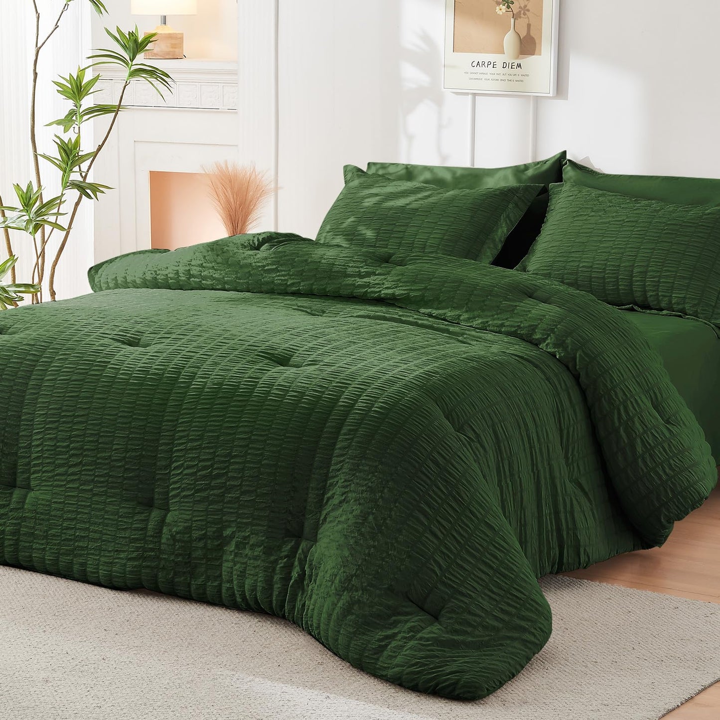 HYMOKEGE Dark Green Twin Comforter Set Seersucker 5 Pieces, All Season Luxury Bed in a Bag Queen for Bedroom, Bedding Set with Comforter, Sheets, Pillowcase & Sham
