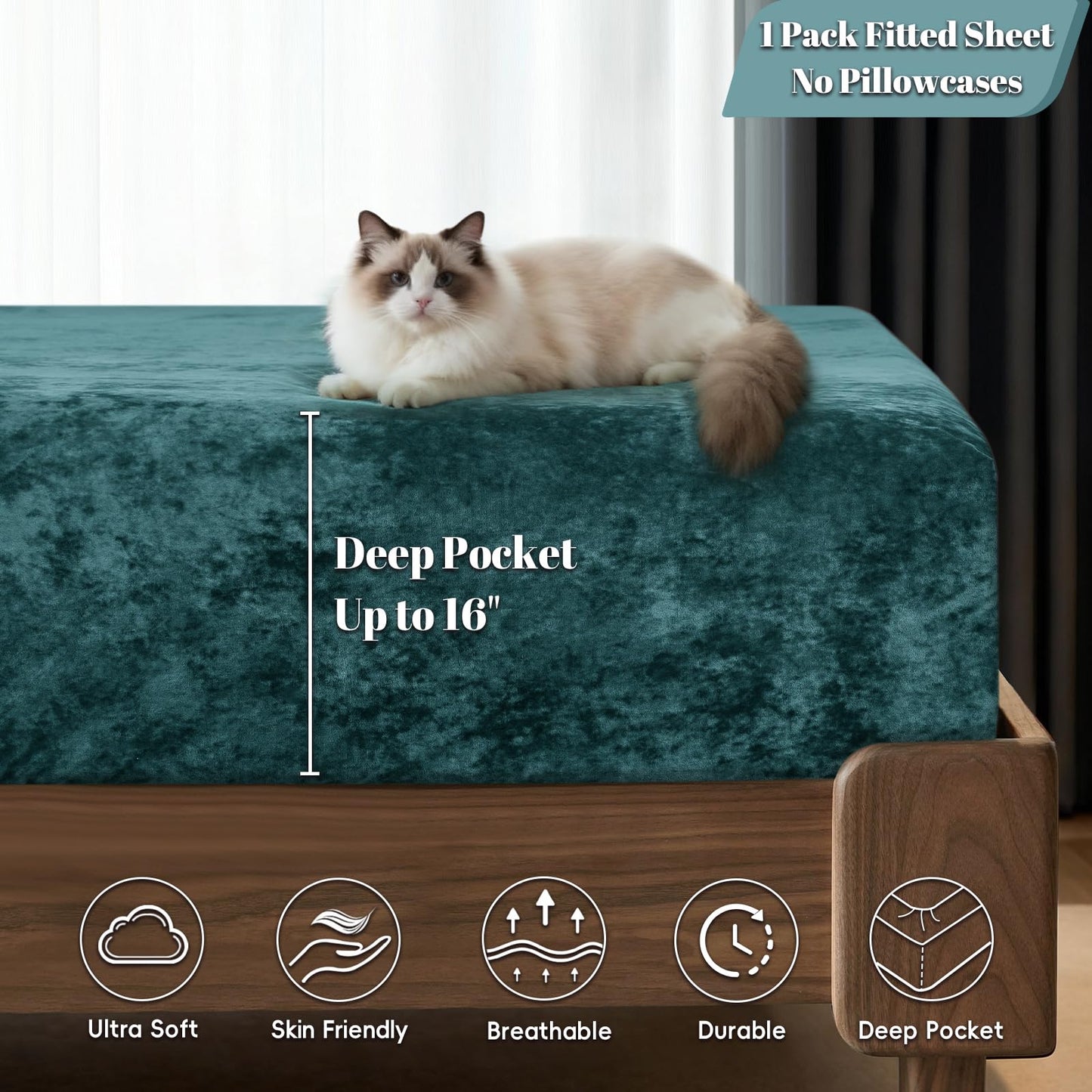 PHF Truly Velvet Fitted Sheet Only Queen Size, Luxury Super Soft Cozy Fuzzy Fleece Bottom Sheet, Deep Pocket Up to 16",Strenghth Elastic Band, Suitable for Fall Winter Spring, No Pillowcases, Teal