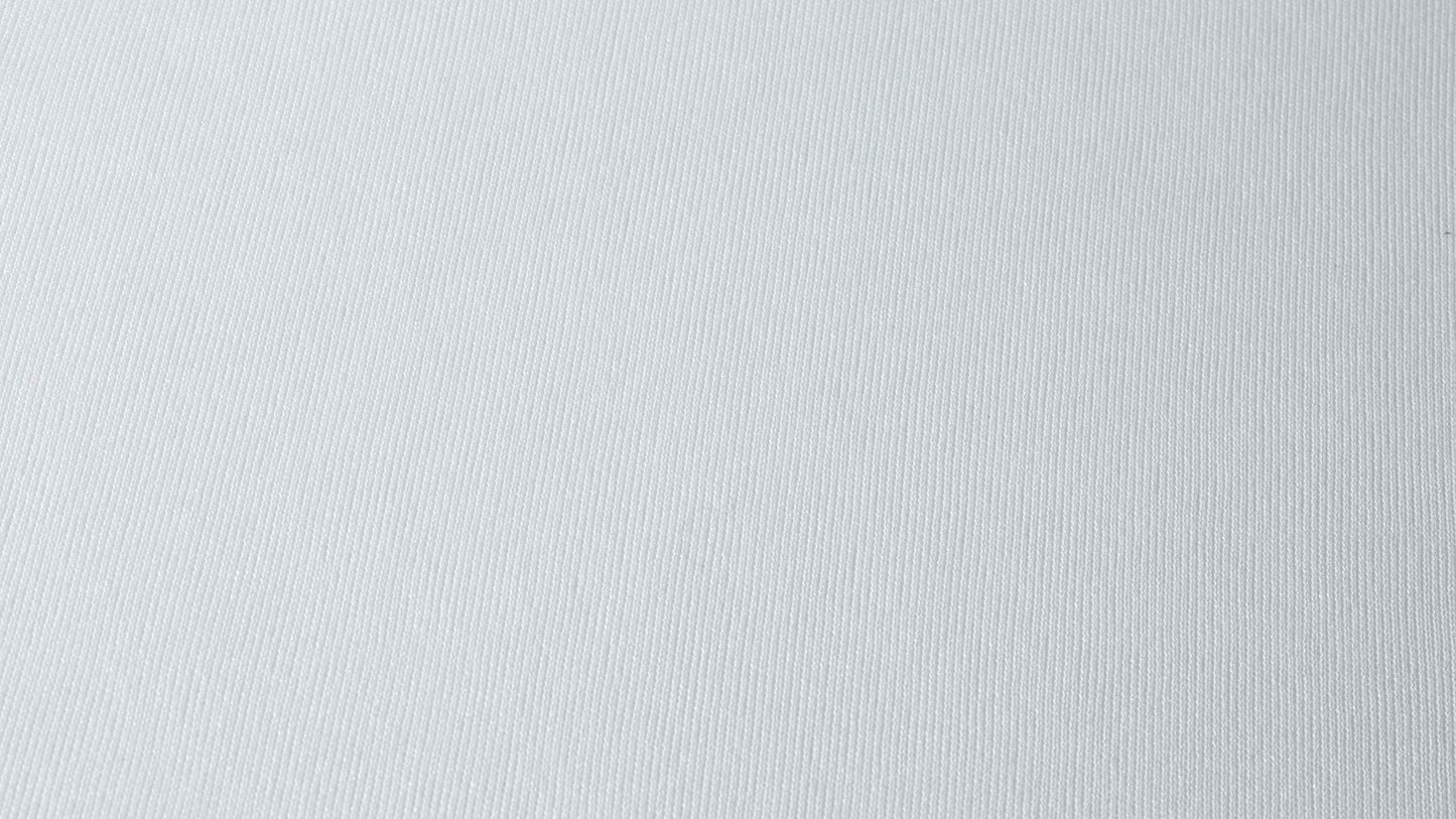 Protect-A-Bed AllerZip Smooth Mattress Encasement, Queen