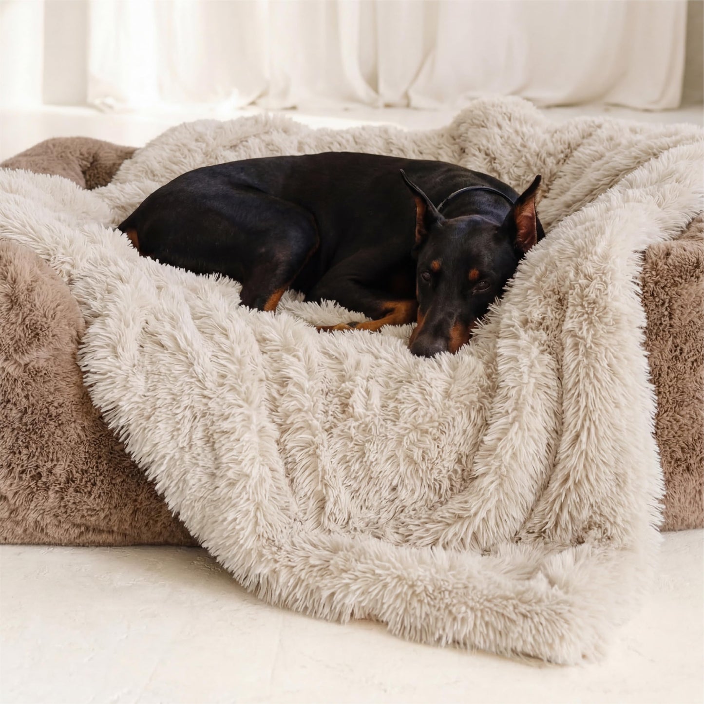 Bedsure GentleSoft Luxury Faux Fur Beige Throw Blanket for Couch, Extra Soft Fuzzy Fluffy Shaggy Blanket Gifts for Women, Warm Cozy Plush Comfrt Fleece Throw for Room Decor, 50x60 Inches