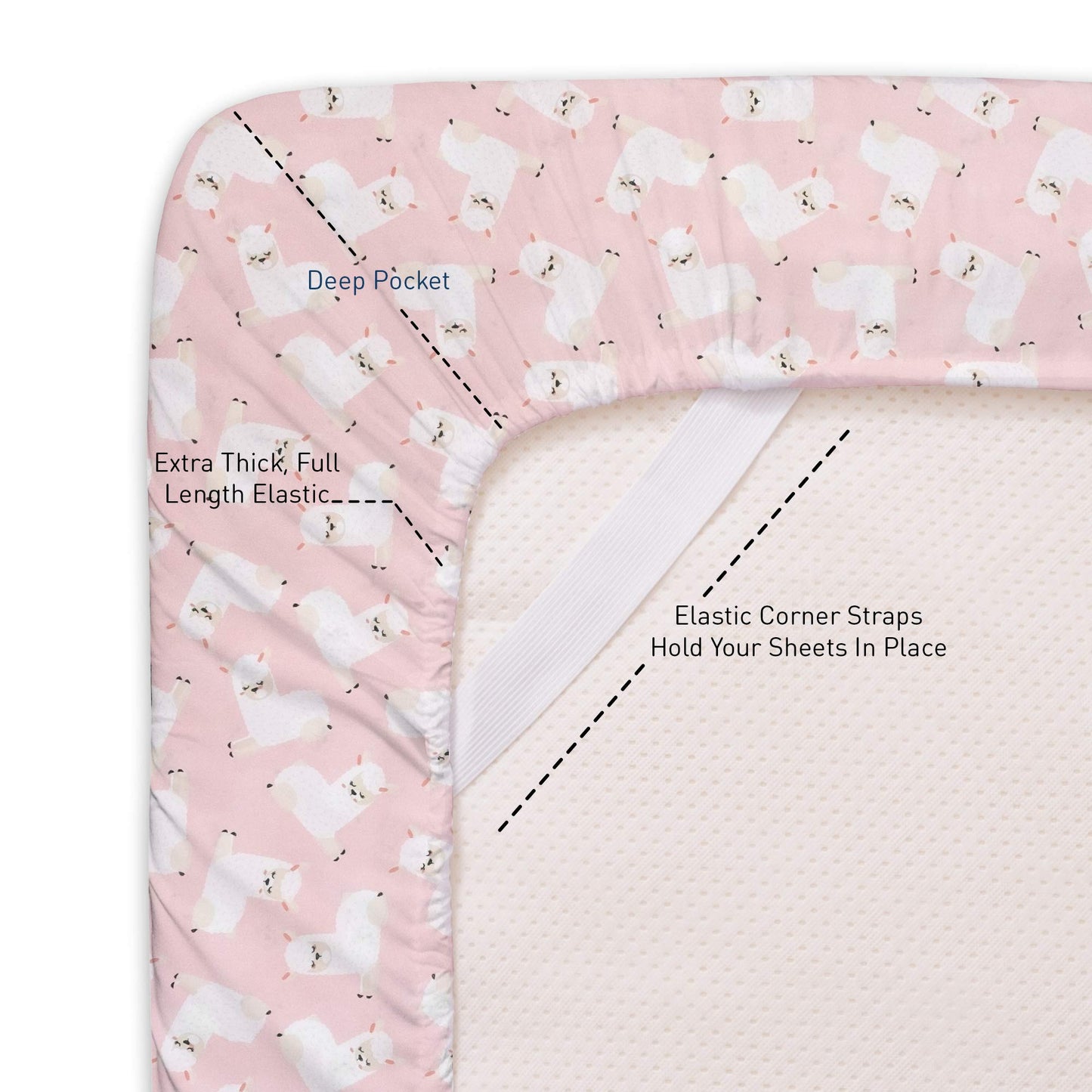 1500 Supreme Kids Bed Sheet Collection - Fun Colorful and Comfortable Boys and Girls Toddler Sheet Sets - Deep Pocket Wrinkle Free Soft and Cozy Bedding - Twin, Llamas