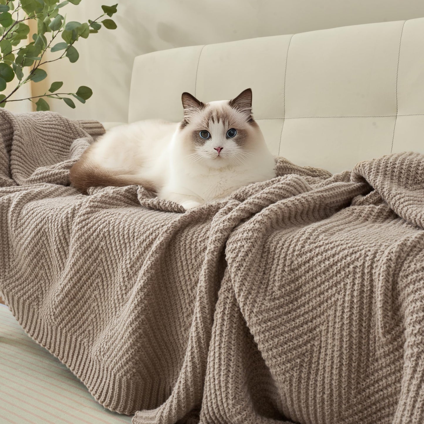 LONG CREATE Knitted Throw Blanket 50"X60", Taupe Knit Throws for Bed, Super Soft Boho Chevron Blankets for Couch Sofa Chair Room Decor, Textured Decorative Farmhouse Cozy Lightweight