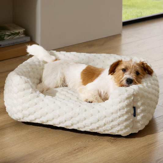 Bedsure Washable Fluffy Cute Dog Bed for Small Medium Dogs, 25 Inch Cream