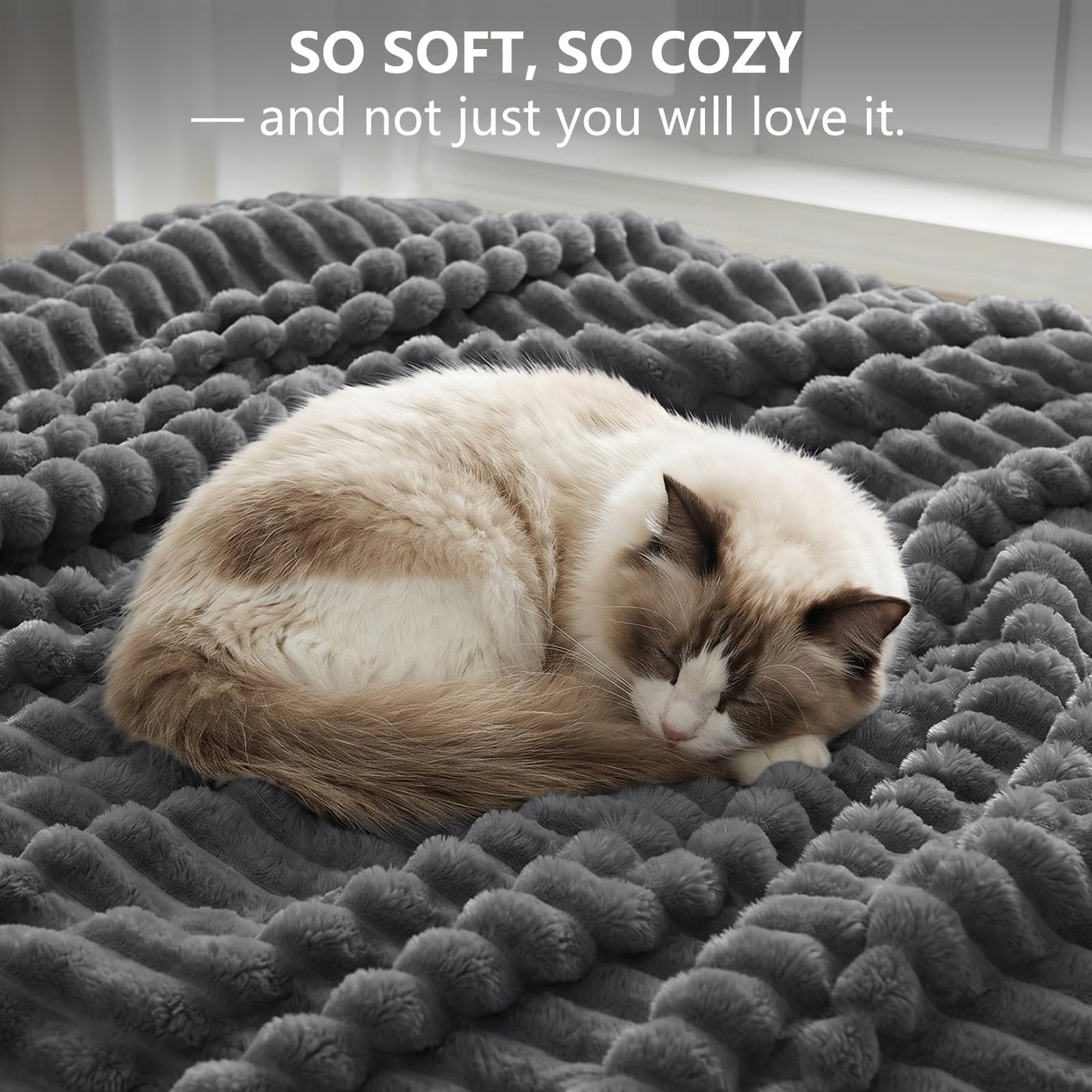 CozyLux Dark Grey Throw Blanket for Couch & Bed - 300GSM Soft Plush Fleece, 50"x60" Lightweight All Season Blanket for Travel, Aesthetic Home Decor, Graduation & Birthday Gifts for Women Men