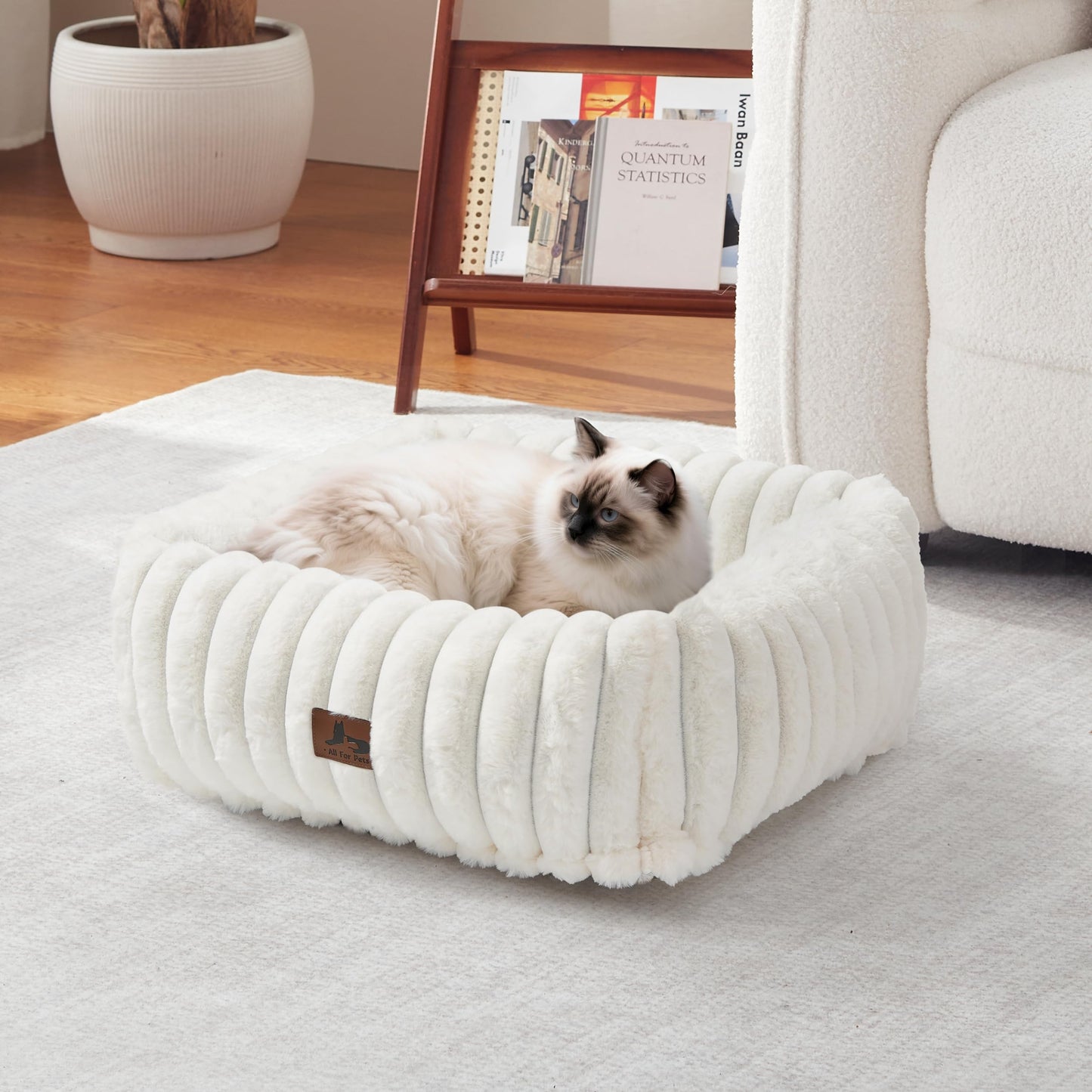 Warmrest Cute Dog Bed for Small Dogs & Cats,Washable Fluffy Cat Beds for Indoor Cats, Rectangle Orthopedic Memory Foam Puppy Beds with Anti-Slip Bottom, 20 x19 x 7 Inches, Cream(20x19x6inchs)