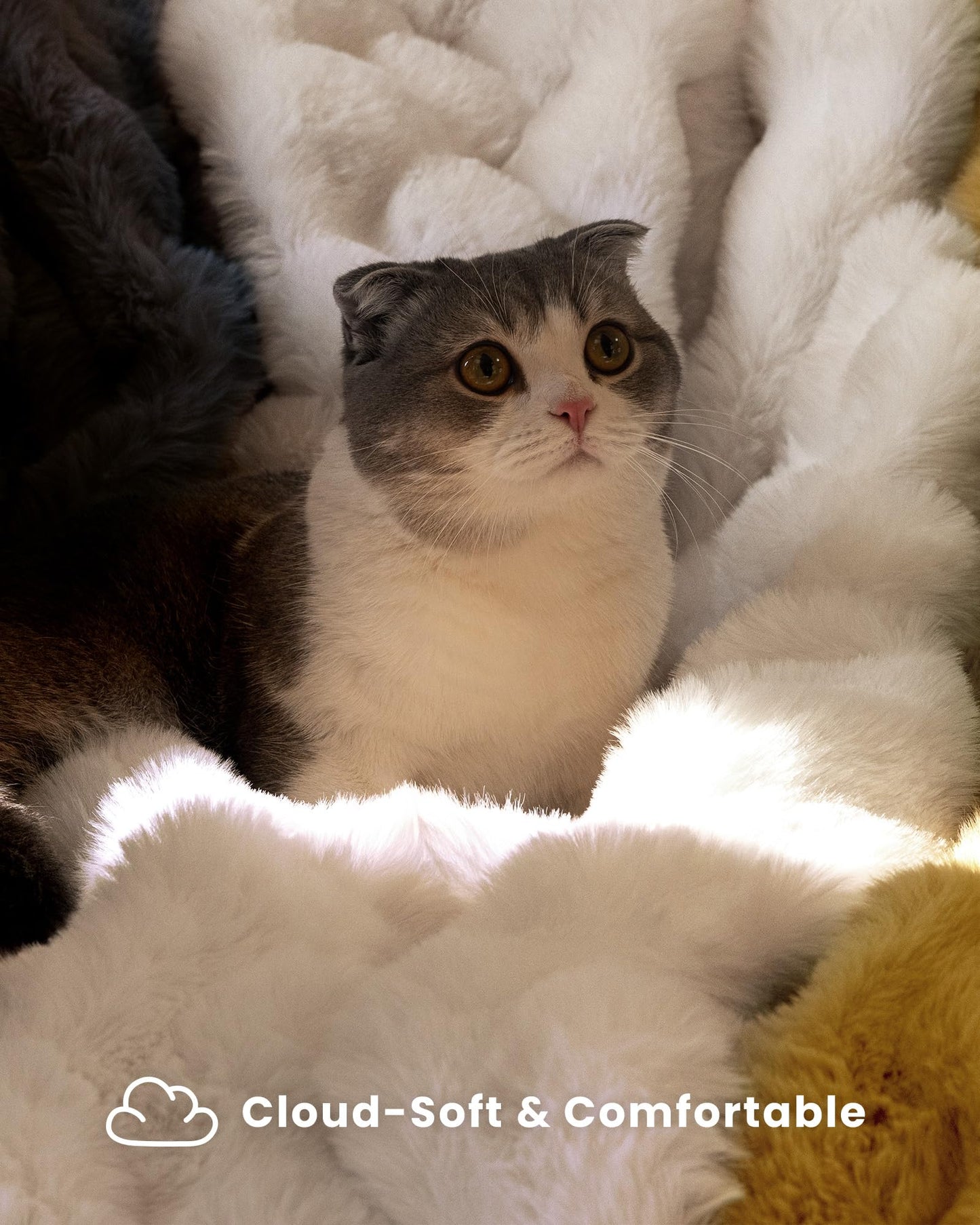 blunique Ultra Soft Cozy Faux Fur Throw Blanket, Fuzzy Plush Thick Bubble Blanket, Luxury Fluffy Blanket for Couch, Sofa, Bedroom, and Living Room, 50x60 Inches, Cream White