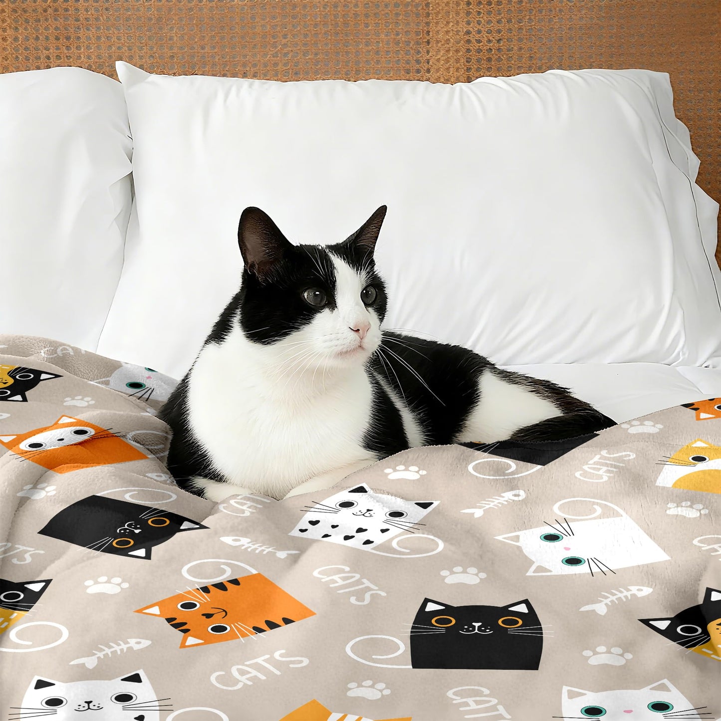Cat Blanket Gifts for Girls Women Soft Flannel Cats Lovers Throw Blanket Cat Birthday Gift Bedding Decor for Women Girls Kids Adults 50"x40"