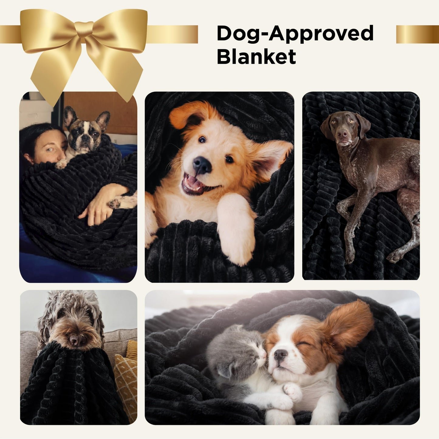 Bedsure GentleSoft Twin Blanket for Bed - Portable Camping Blanket for Outdoor Travel, Cozy Soft Cute Small Fleece Throws for Women Men, Black, 60x80 Inches