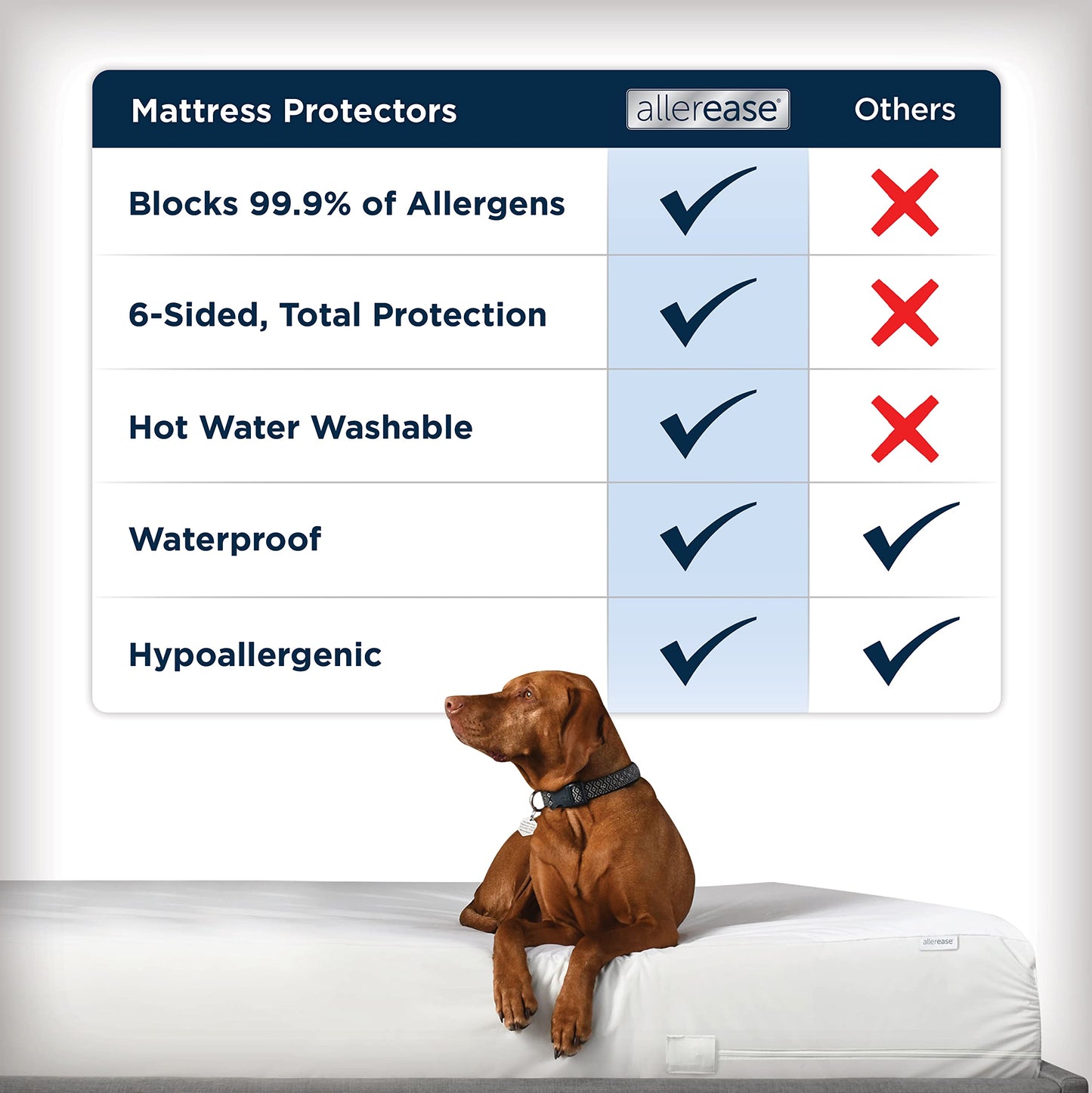 AllerEase Waterproof Mattress Protector Stain Protection Full Size Allergen Barrier Hot Water Washable Machine Washable Durable Zippered Knit Mattress Cover Stretch Corners (White)