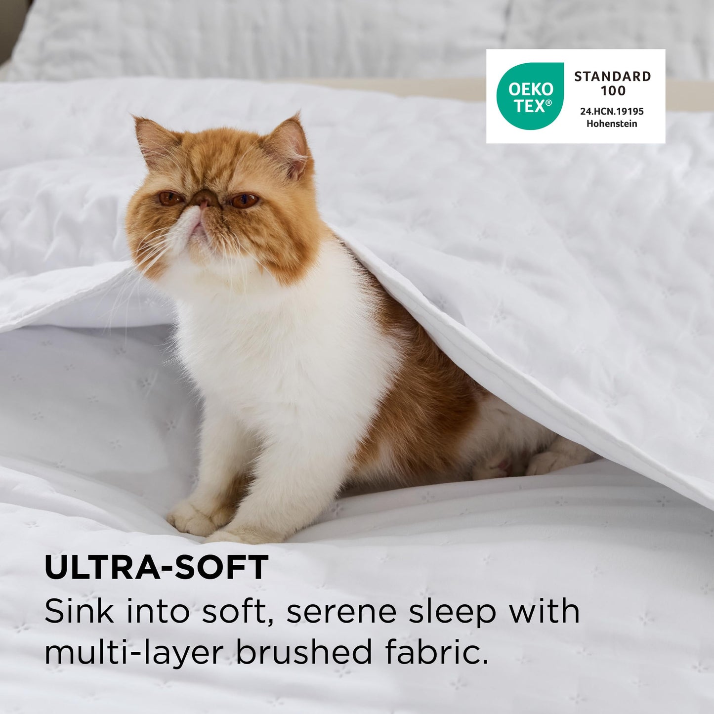 Bedsure Quilts Queen Size - Lightweight Comforter Queen Size for Summer, Bright White Bedspread Quilt with Clover Pattern, Soft Ultrasonic Coverlet, Modern All-Season Bedding, 90 x 96 Inches