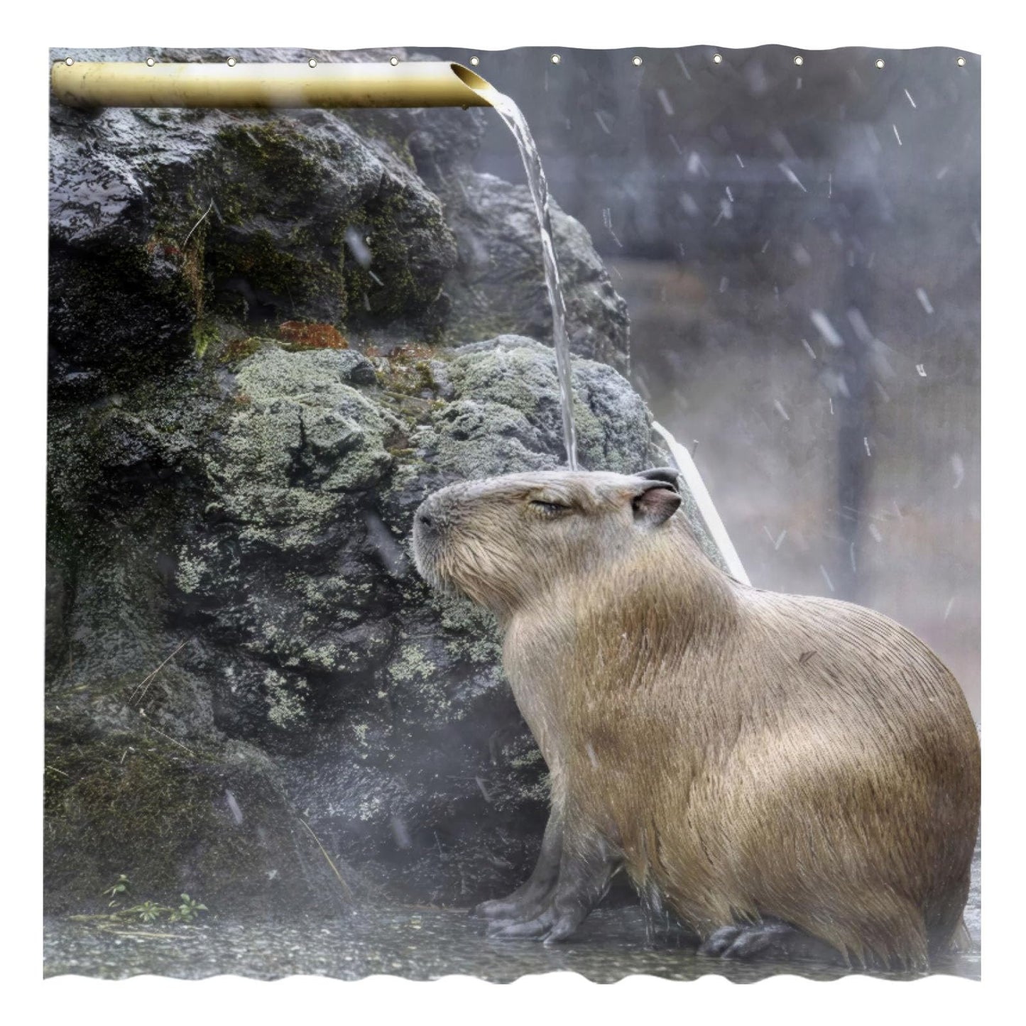 Funnytree Capybara Shower Curtain, Capybara Bathroom Decor, Waterproof Fabric Durable Easy Care Washable, 72"X72"(Hooks Not Included) SC00292-002