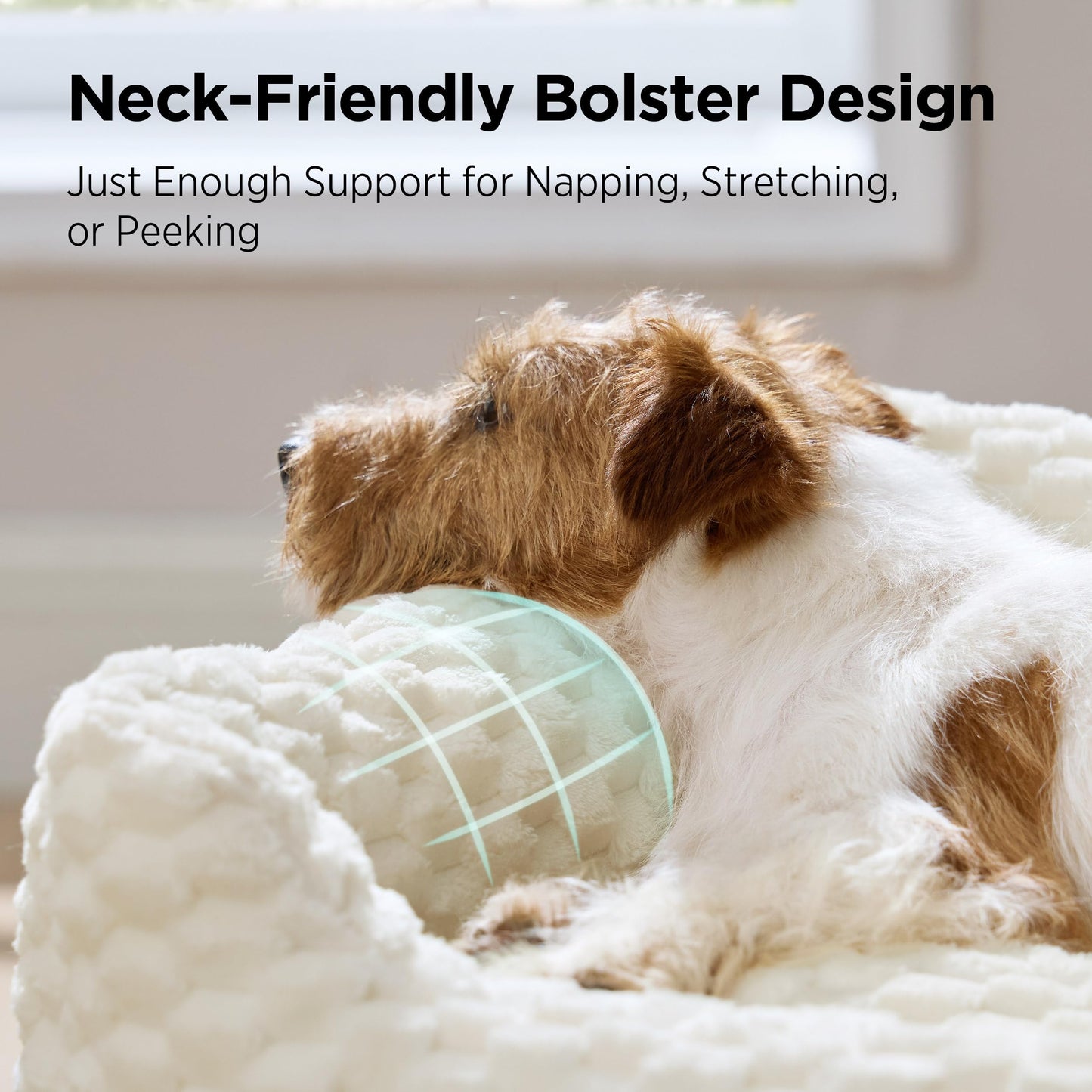 Bedsure Washable Fluffy Cute Dog Bed for Small Medium Dogs, 25 Inch Cream