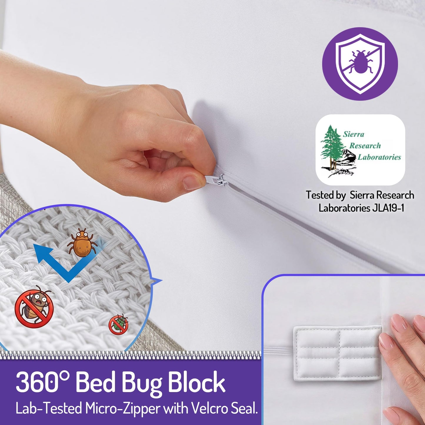 Degrees of Comfort Bed Bug Mattress Cover Queen Size - 13-15" Deep Pocket 3M Scotchgard Waterproof Zippered Encasement Protector, Breathable Cotton Terry Top
