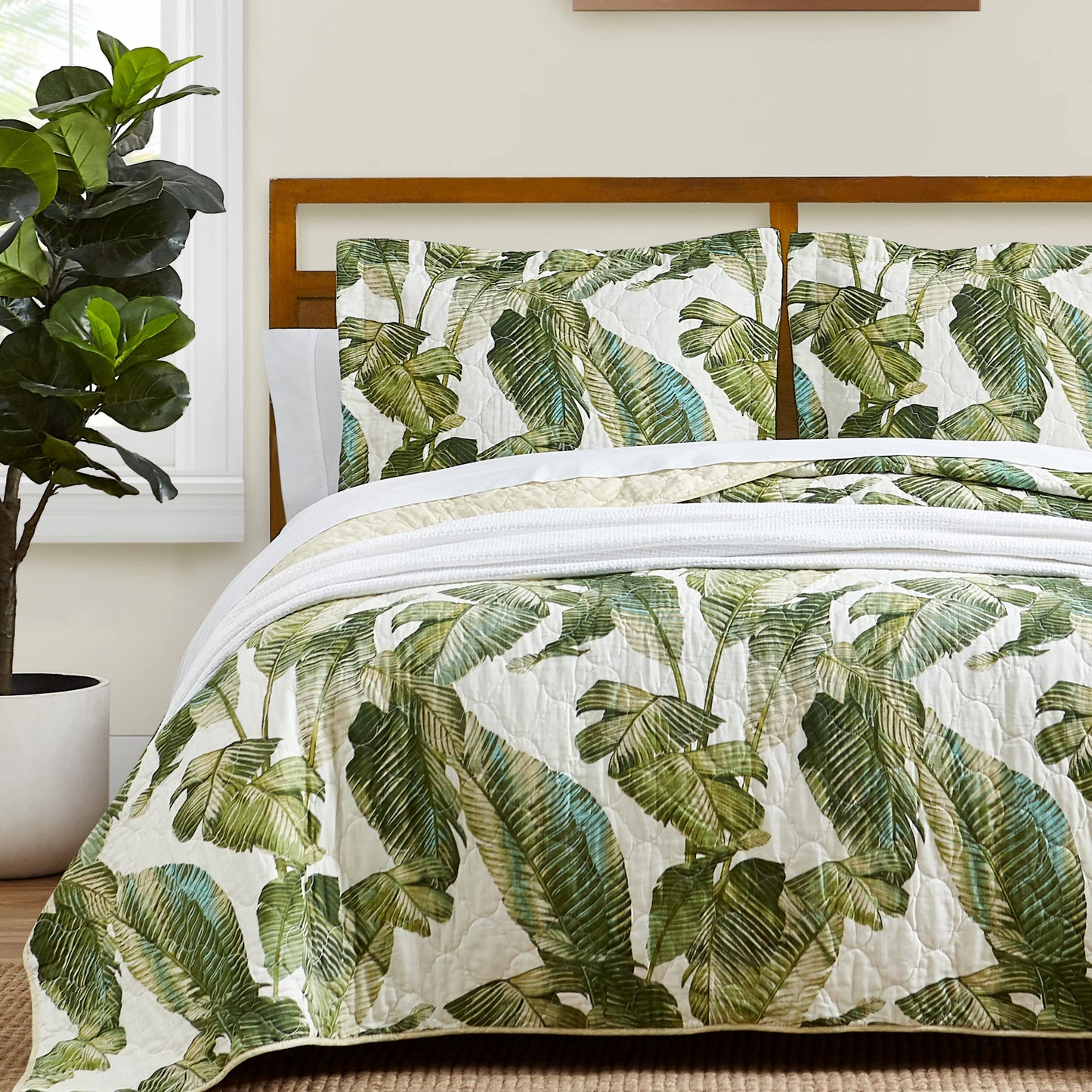 Tommy Bahama - Queen Quilt Set, Reversible Cotton Bedding with Matching Shams, Soft All Season Bedspread, Coastal Bedding Set (Fiesta Palms Green, Queen)