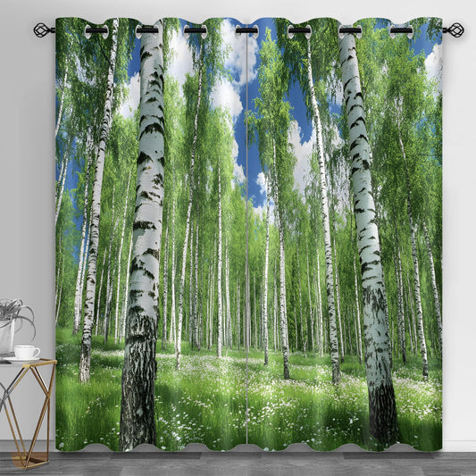 JAXIUOF Birch Trees Curtains for Bedroom 63 Inch Long 2 Panels, Jungle Landscape Blackout Curtains, Summer Forest Window Treatment, Thermal Insulated Drapes for Bedroom Office Kitchen