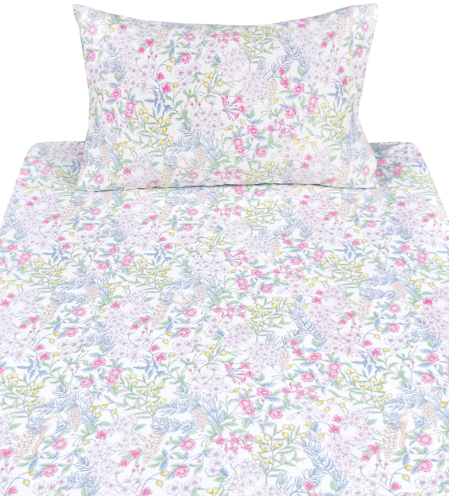Scientific Sleep Vine Flower Plants Leaves Wild Fruit Bird Vintage Floral 100% Cotton Bed Sheet Set Kids Girls Teen, Flat Sheet & Fitted Sheet & Pillowcase Bedding Set (Botanic Garden, Twin)