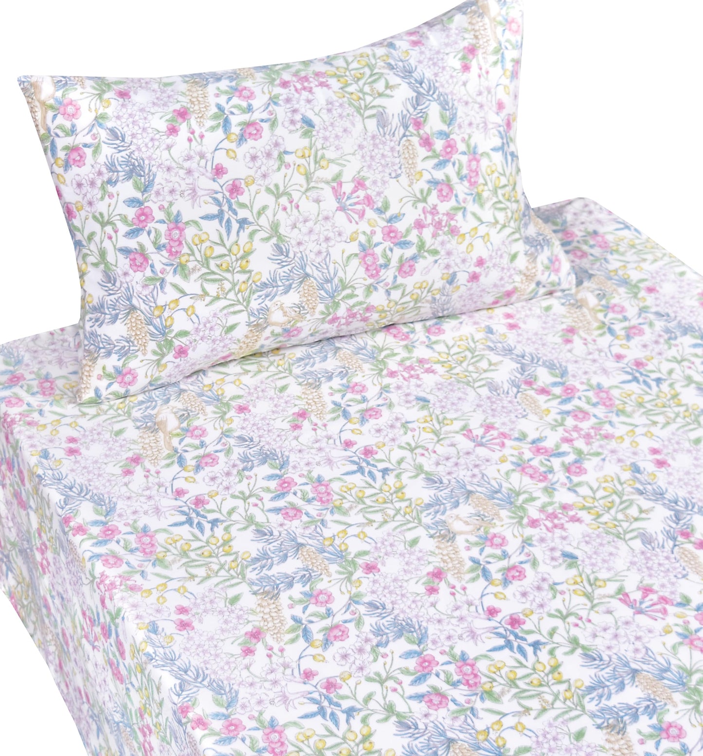 Scientific Sleep Vine Flower Plants Leaves Wild Fruit Bird Vintage Floral 100% Cotton Bed Sheet Set Kids Girls Teen, Flat Sheet & Fitted Sheet & Pillowcase Bedding Set (Botanic Garden, Twin)