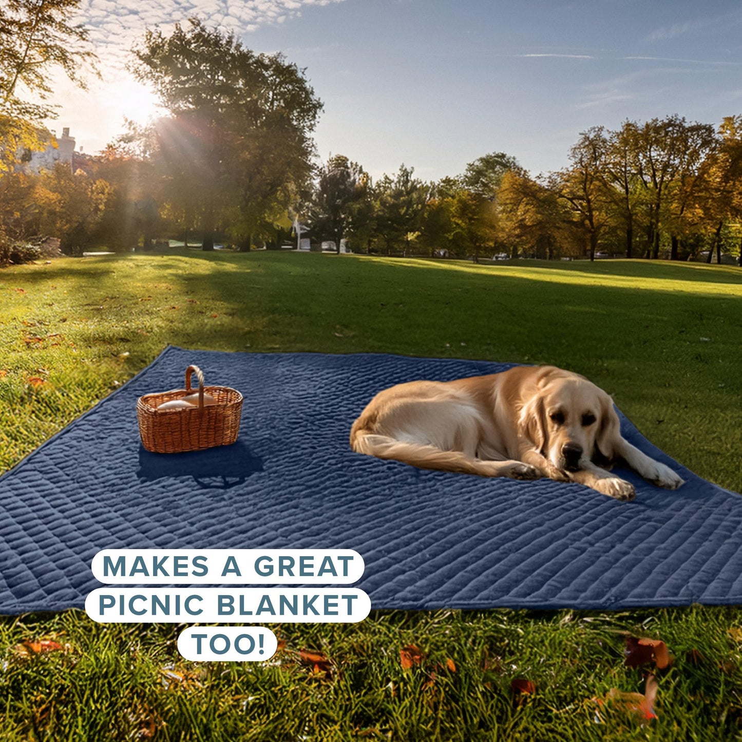 Bare Home Coverlet Set - Twin/Twin Extra Long - Lightweight Bed Decor - Comforter Alternative - All-Season Quilted Bedspread (Twin/Twin XL, Dark Blue)