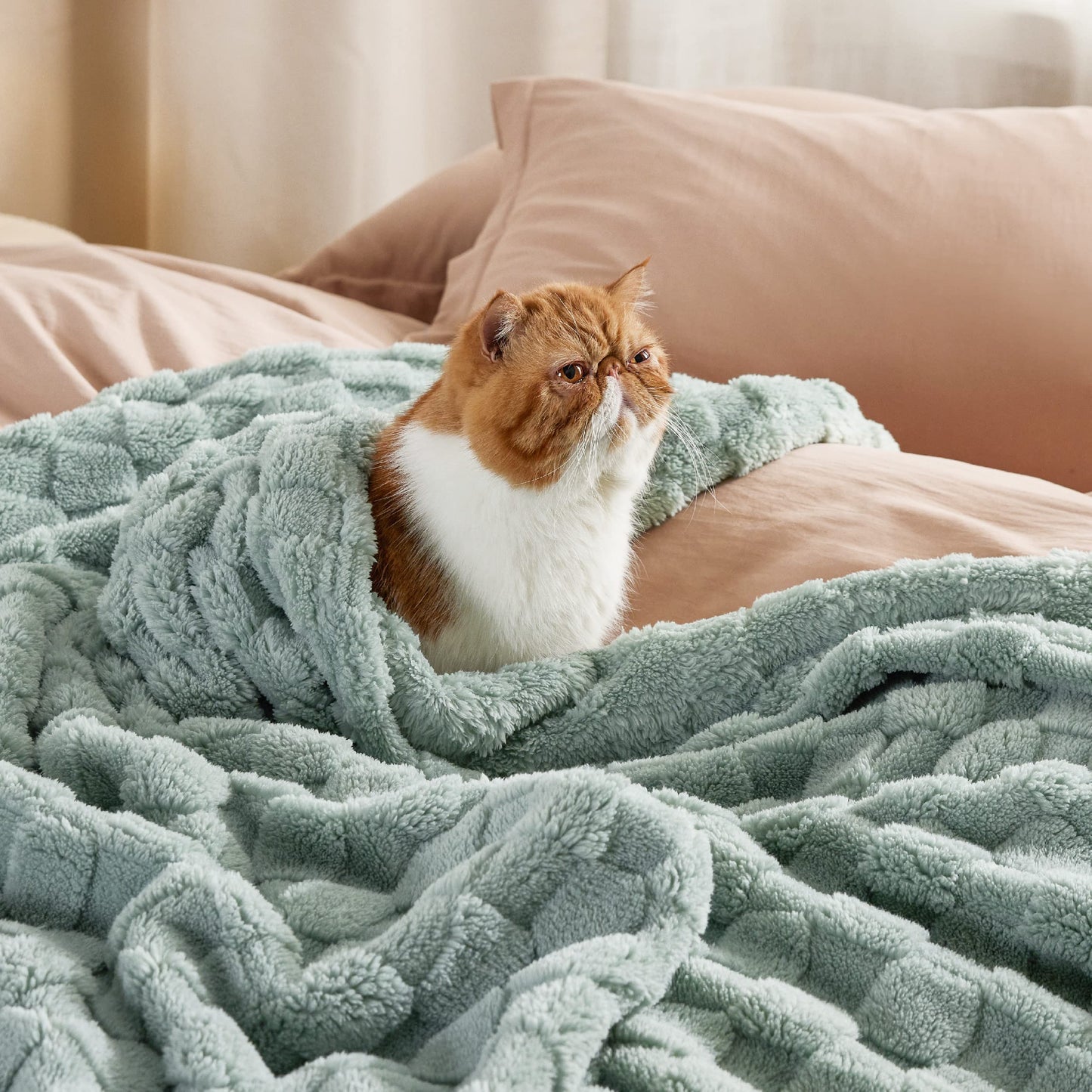 Bedsure Fleece Blanket Throw Size (Beige & Sage Green)
