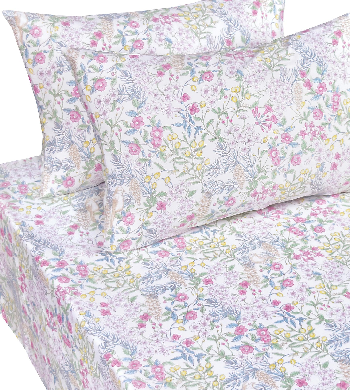 Scientific Sleep Vine Flower Plants Leaves Wild Fruit Bird Vintage Floral 100% Cotton Bed Sheet Set Kids Girls Teen, Flat Sheet & Fitted Sheet & Pillowcase Bedding Set (Botanic Garden, Full)