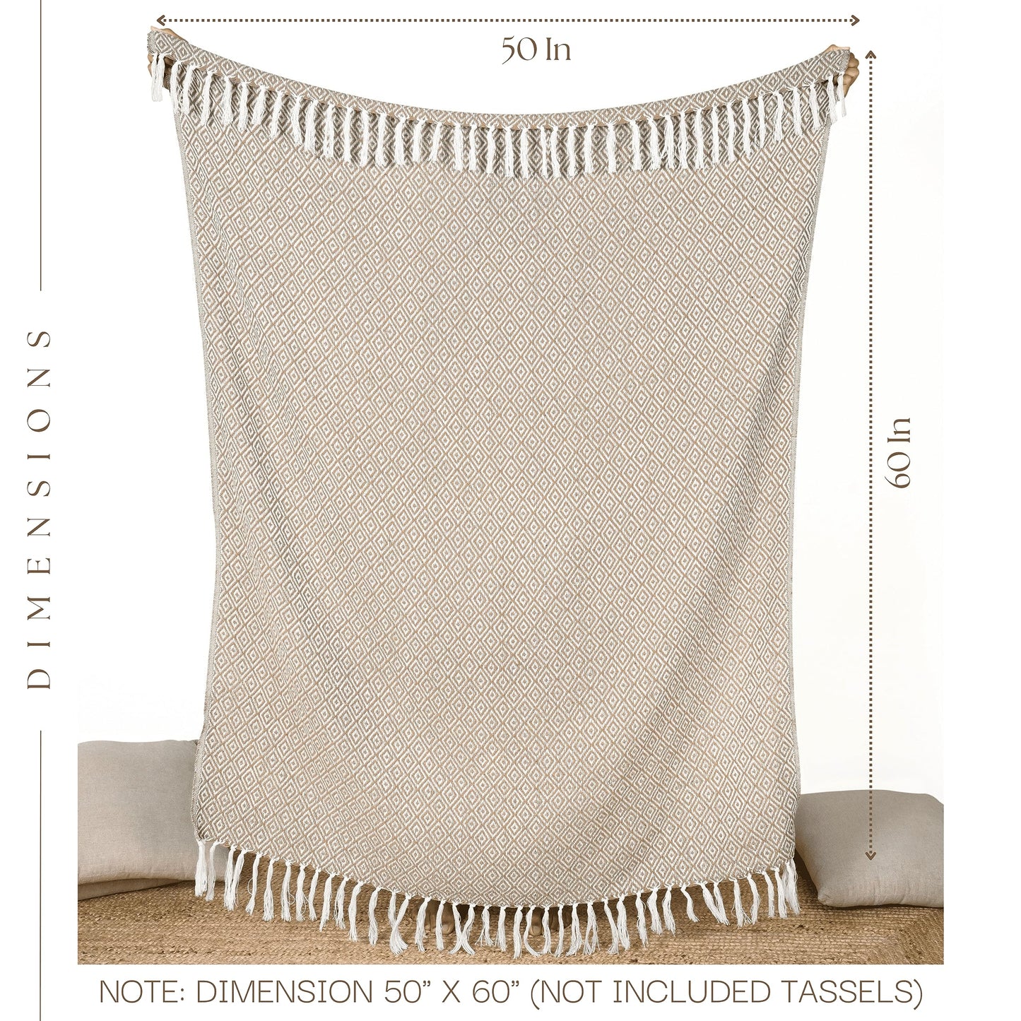 RAJRANG Beige Farmhouse Throw Blanket with Boho Tassel 50x60 Inches - Soft Vintage Geometric Throws Woven Blankets Tiger's Eye